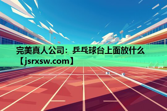 乒乓球台上面放什么